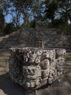 Stela D in the Grand Plaza at Copan - copan mayan ruins,copan mayan temple,mayan temple pictures,mayan ruins photos